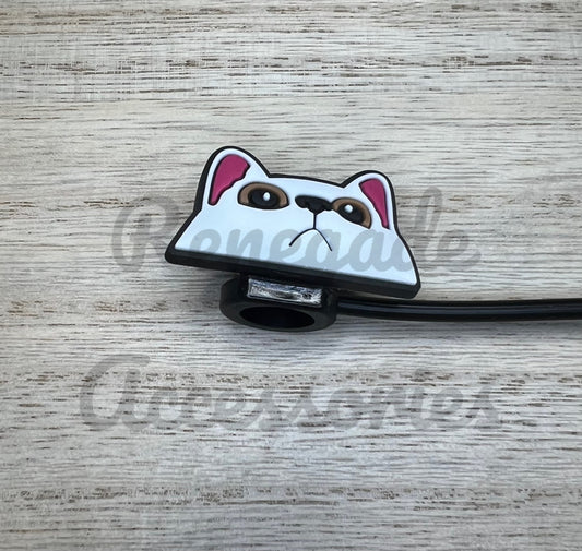 Straw Topper - Funny Cat