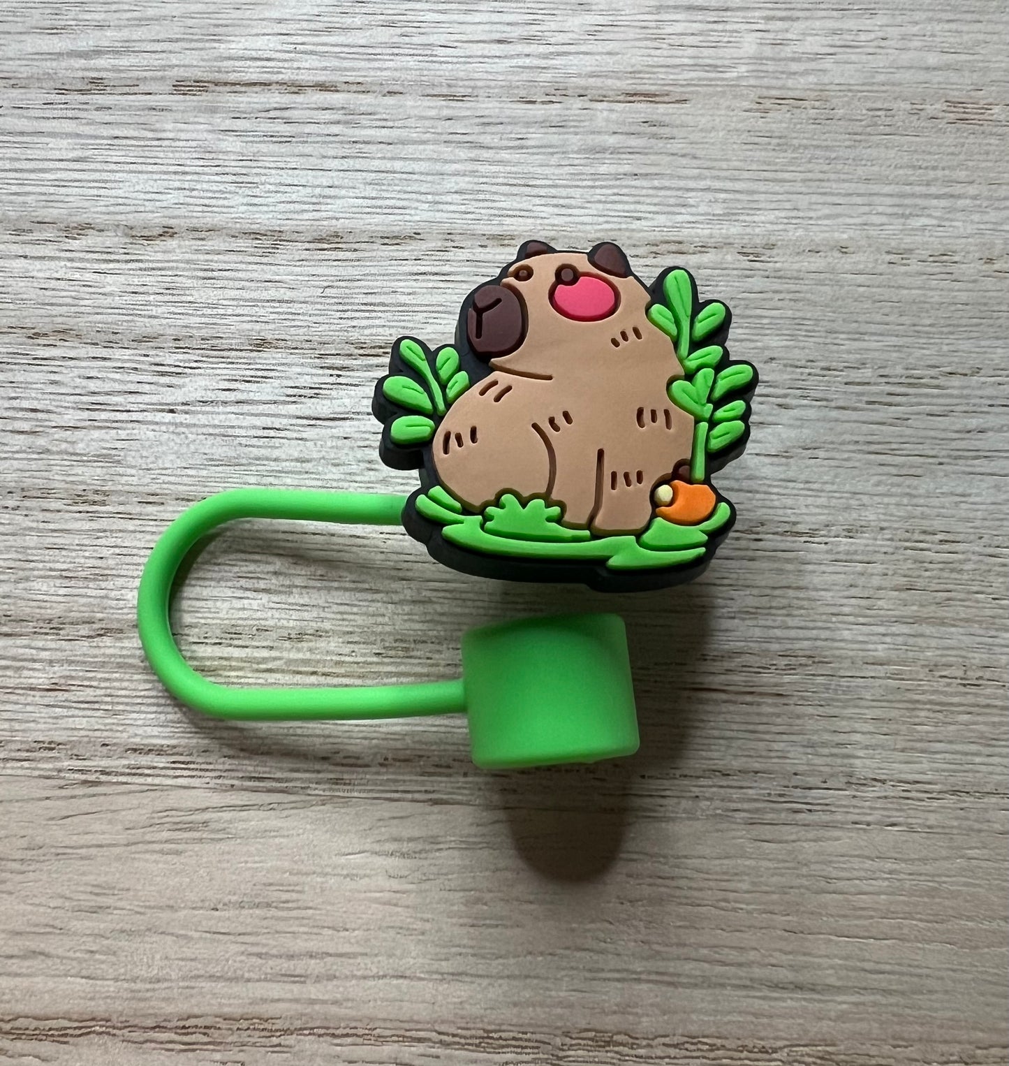 Straw Topper - Capybara Flowers